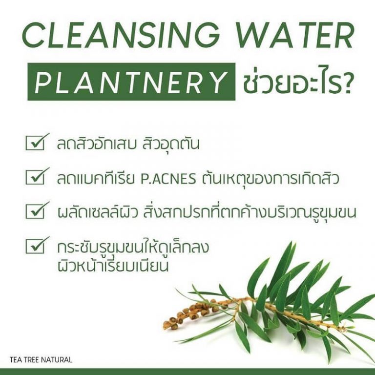 Plantnery Tea Tree First Cleansing Water Thailand Best Selling Beauty