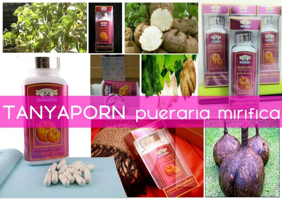 Pueraria Mirifica Breast Capsules Thanyaporn