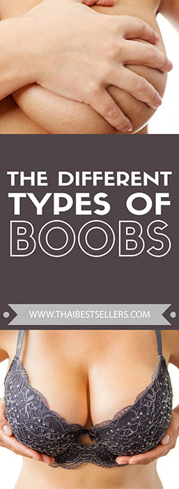 Types of Boobs - Thailand Best Selling Products - Online shopping
