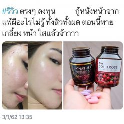 DW Collarose Collagen Cherry
