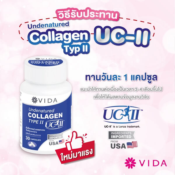 Vida Undenatured Collagen Type II - Image 10
