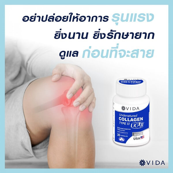 Vida Undenatured Collagen Type II - Image 7