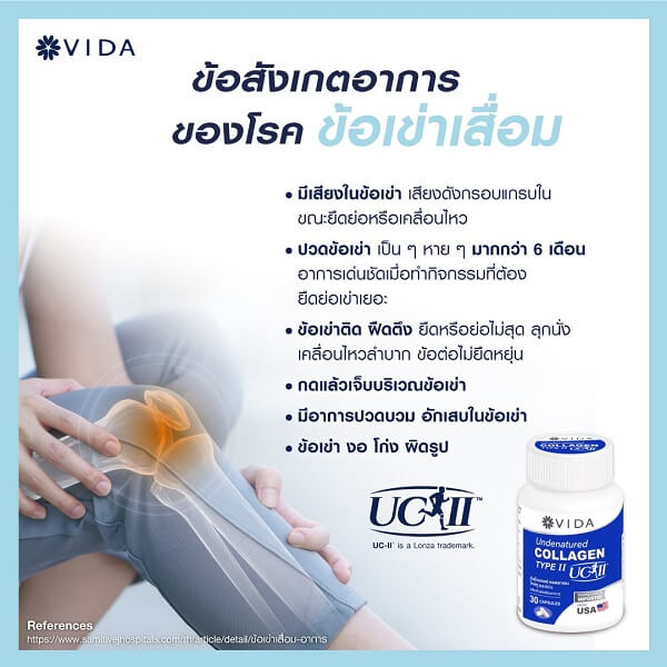 Vida Undenatured Collagen Type II - Image 9