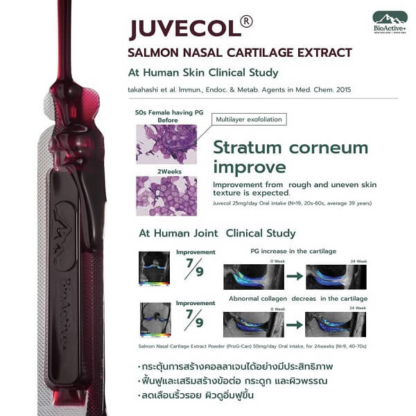 BioActive+ Concentrated Liquid Collagen - Image 13