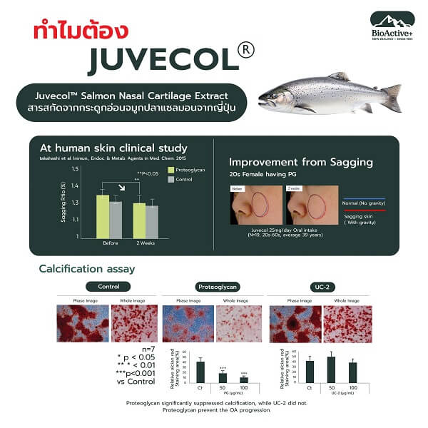 BioActive+ Concentrated Liquid Collagen - Image 6